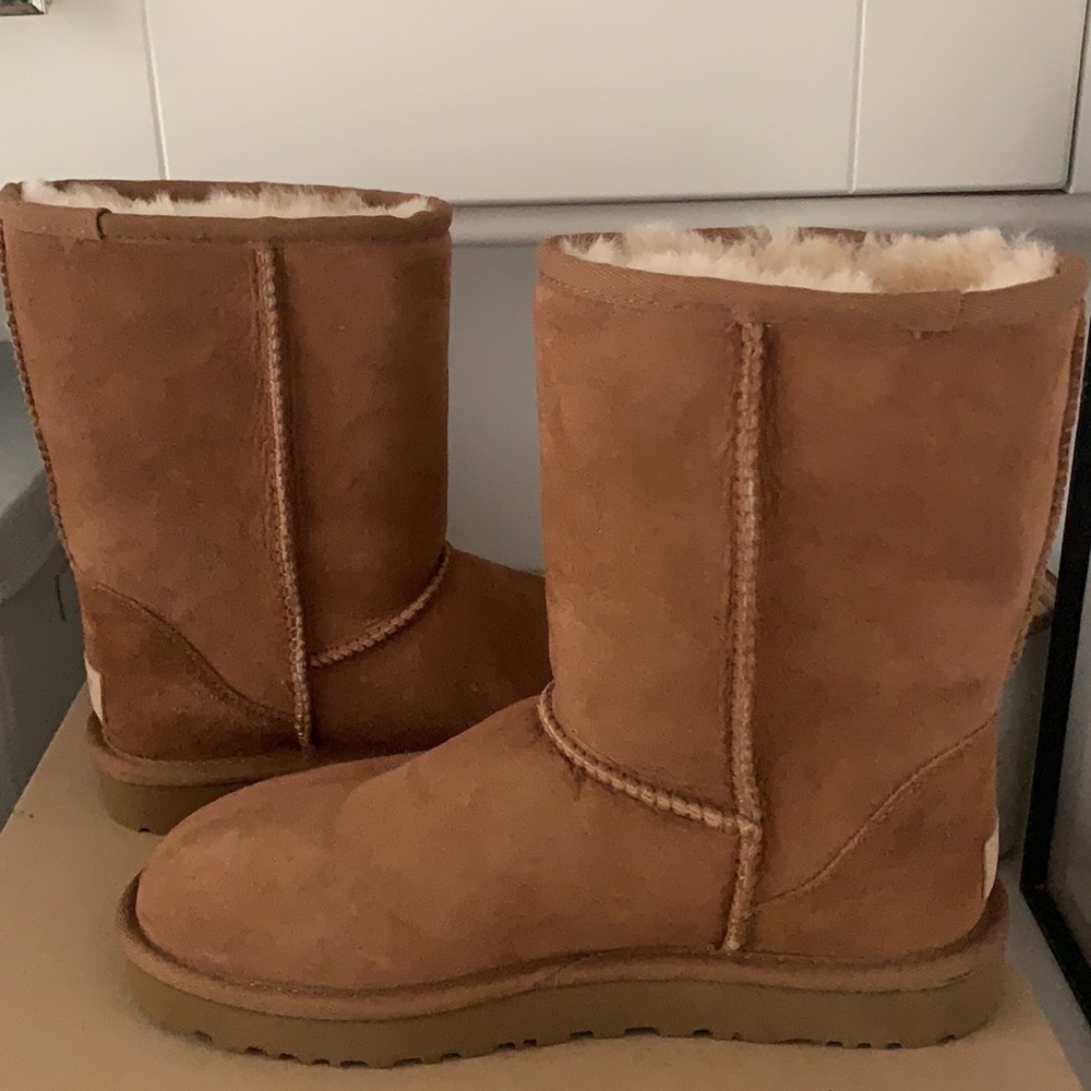 NIB UGG Classic Short in Chestnut